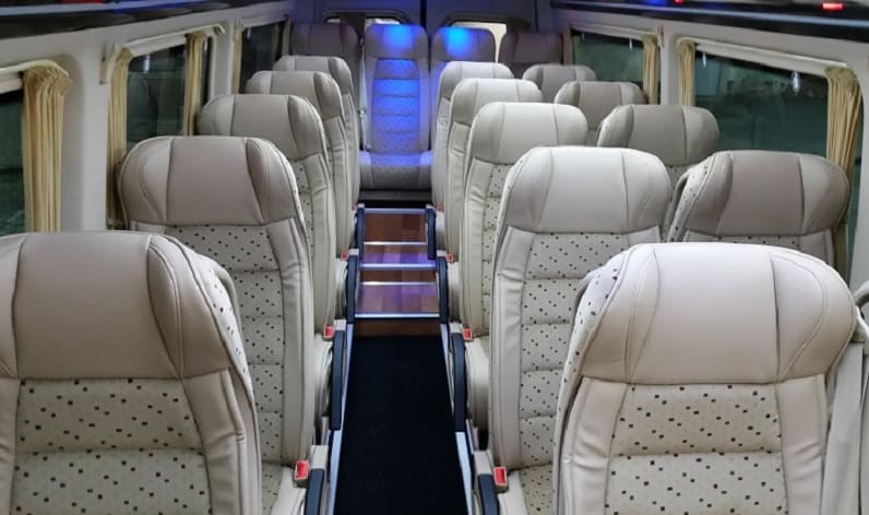 Romania: Coach company in Municipality of Bucharest in Municipality of Bucharest and Bucharest [București]